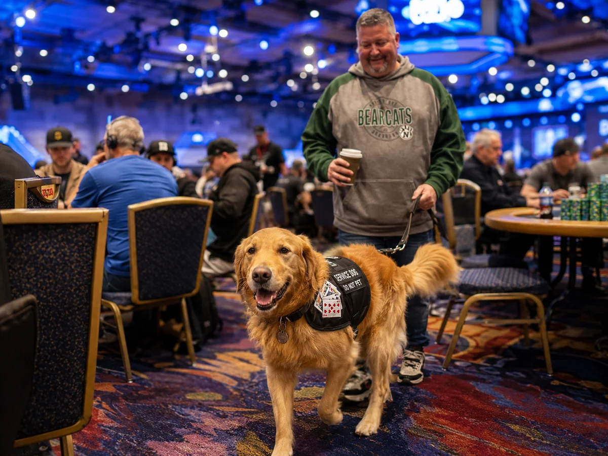 'He's Saved My Life Several Times': Ben Ditsch and His Poker Service Dog, Chief